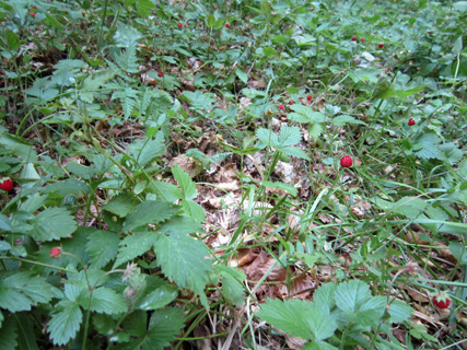 f0234936_23464849.jpg