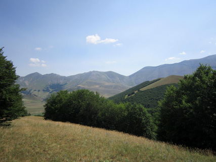 f0234936_23471070.jpg