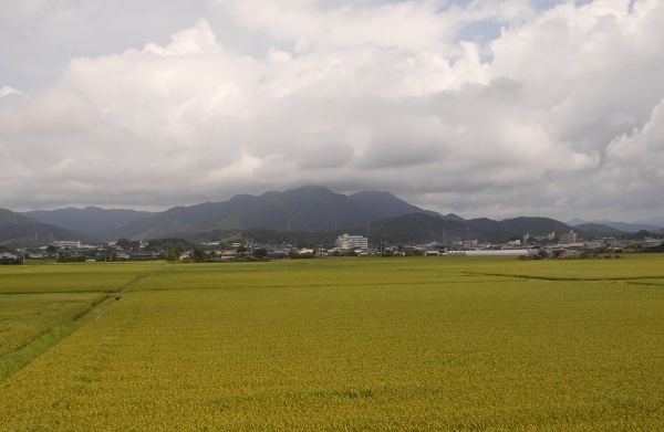 f0042737_1140467.jpg
