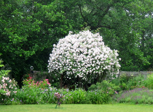 b0178339_153214100.jpg
