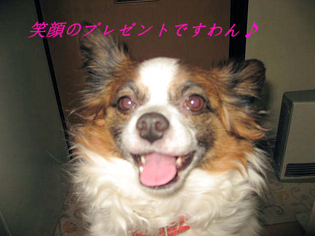 a0149240_9173443.jpg