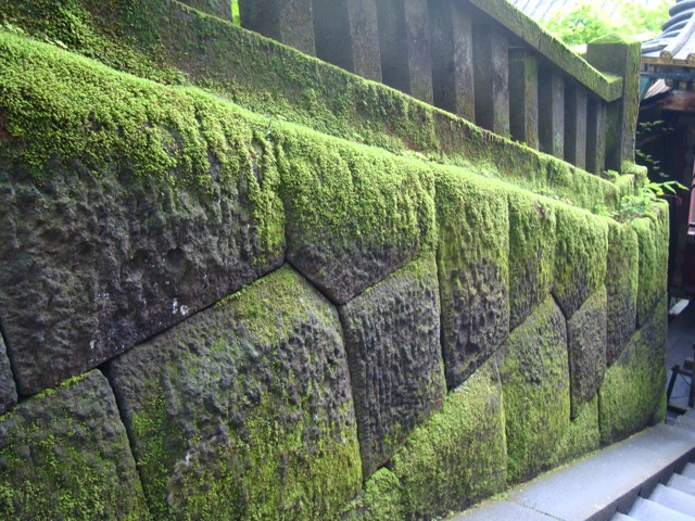 f0198556_22372316.jpg