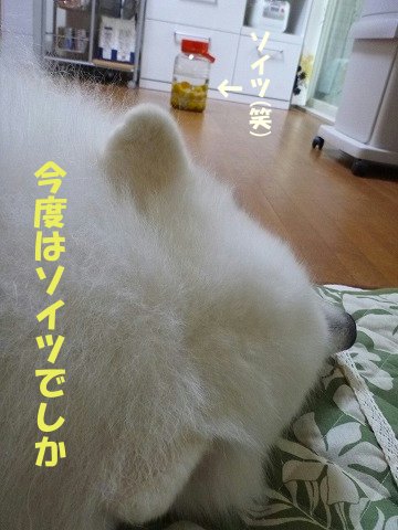 e0176159_1114224.jpg