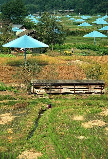 d0175562_146252.jpg