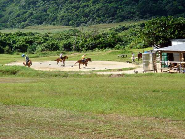 c0048265_10495053.jpg