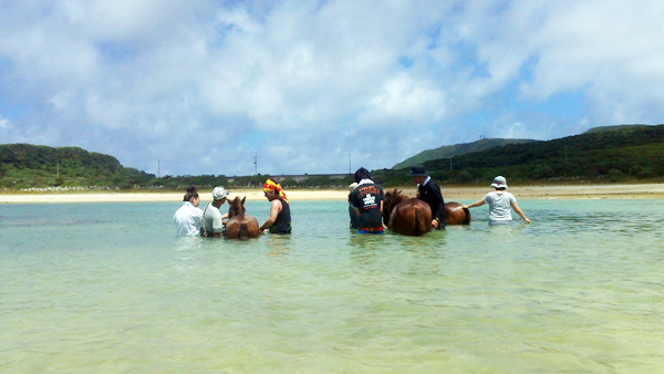 c0048265_12205984.jpg