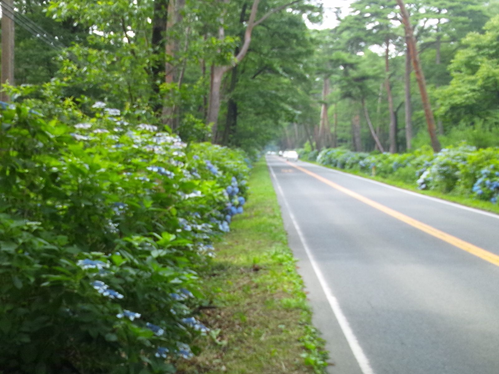 e0151566_22254180.jpg