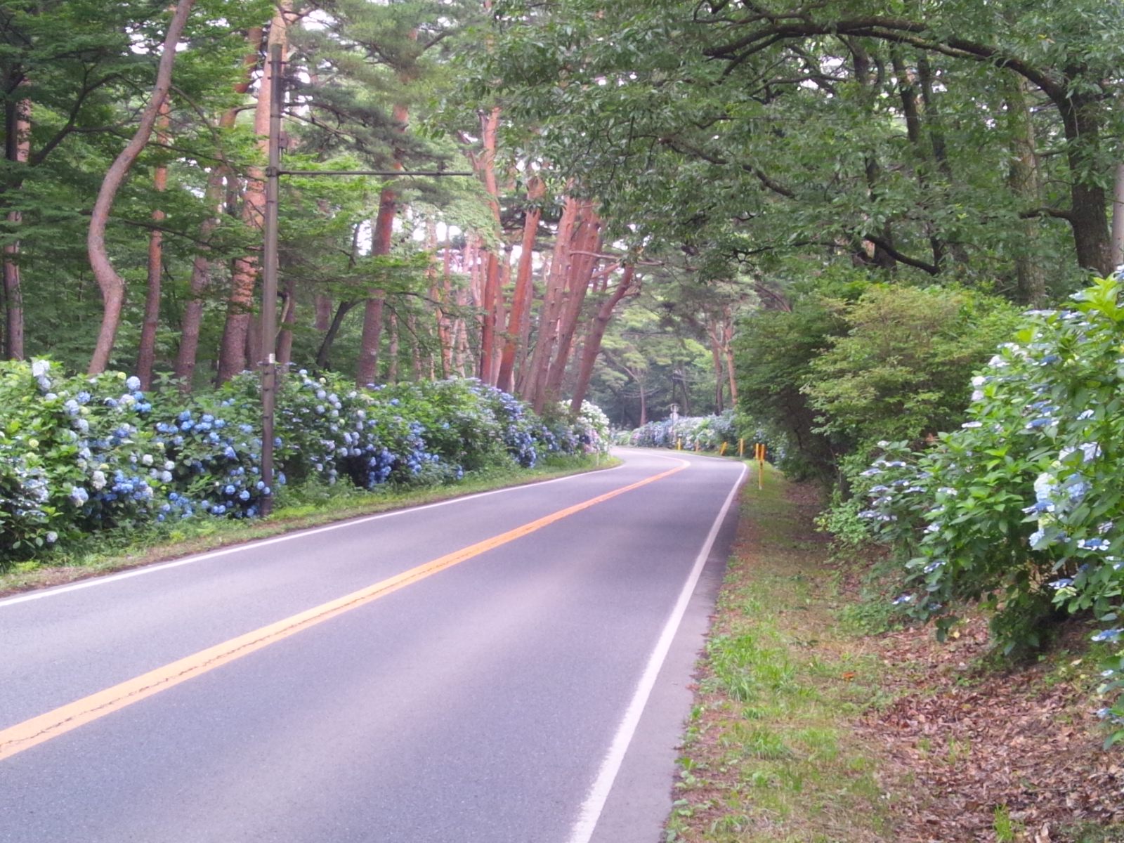 e0151566_22265841.jpg