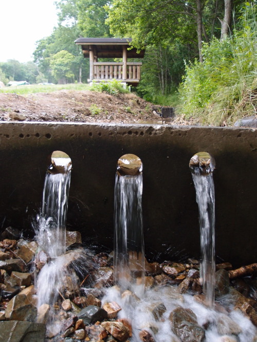 c0122670_09155.jpg