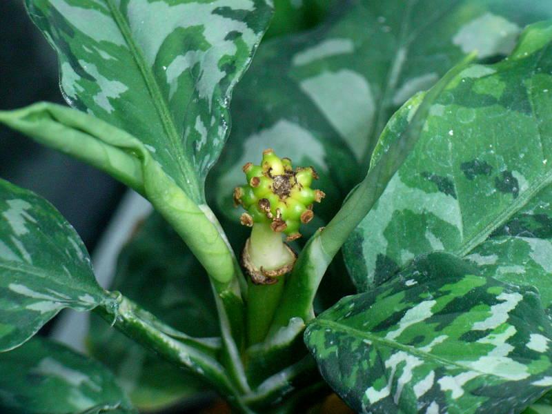 d0249970_247228.jpg