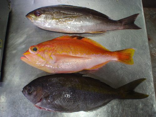 f0224772_2101439.jpg