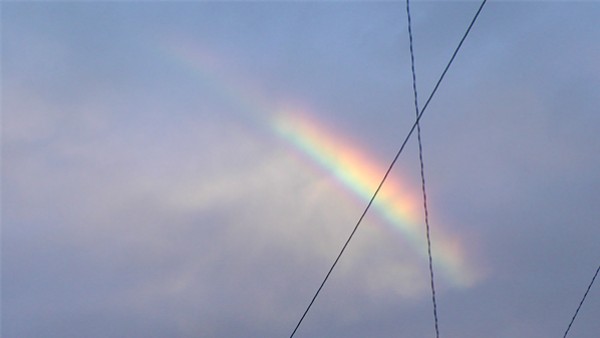 f0003174_13174059.jpg