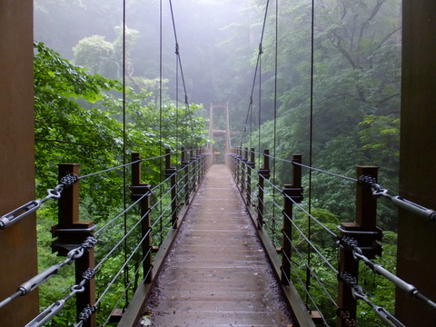 a0043982_1942229.jpg