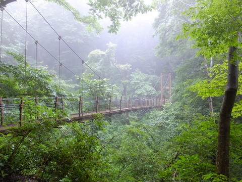 a0043982_19423061.jpg