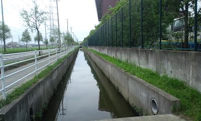 d0261484_12514911.jpg