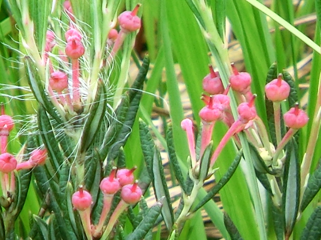 b0203588_18572315.jpg