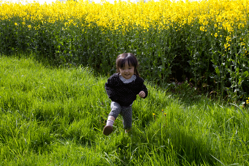 c0193289_17265480.gif