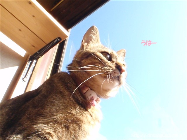 a0159490_13212698.jpg