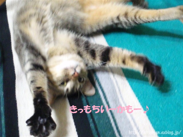a0159490_13444876.jpg