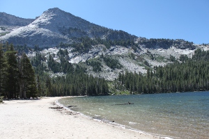 c0033994_6473027.jpg