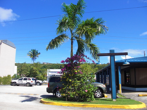 d0257298_15511073.jpg