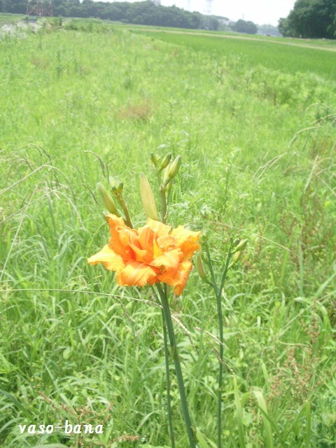 e0025300_12104389.jpg
