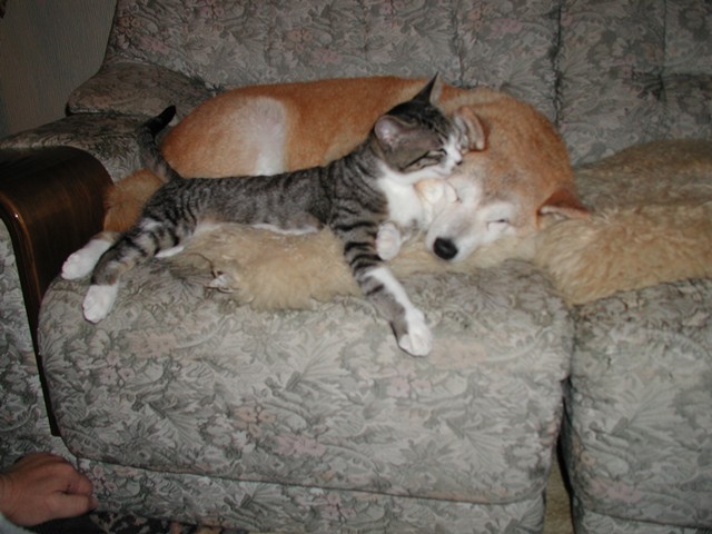 e0018604_2172569.jpg
