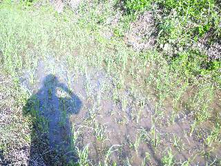 c0126205_855532.jpg