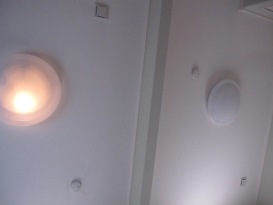 d0047107_5371712.jpg