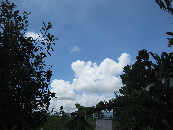 f0179209_11232218.jpg