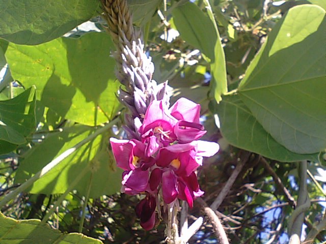f0231709_81656100.jpg