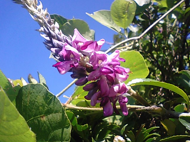 f0231709_818221.jpg