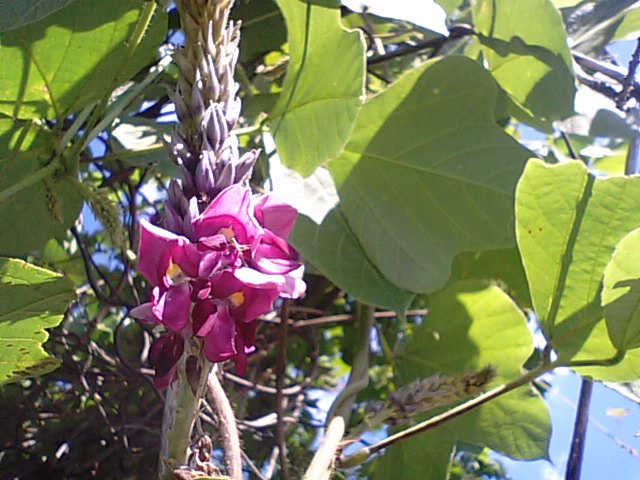 f0231709_820455.jpg