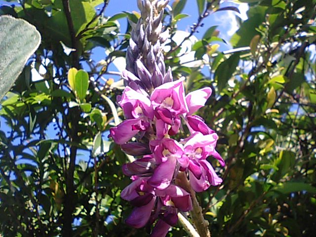 f0231709_8205723.jpg