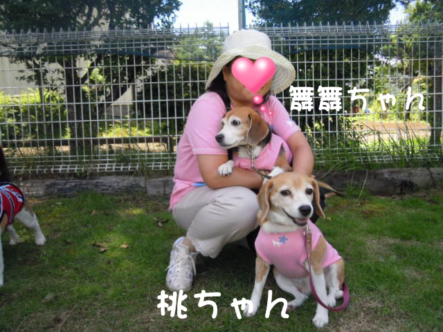 c0166622_1083529.jpg