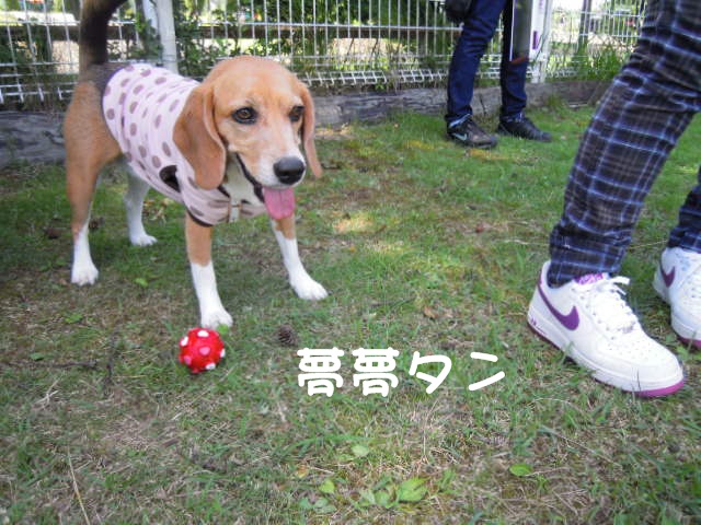 c0166622_1083790.jpg