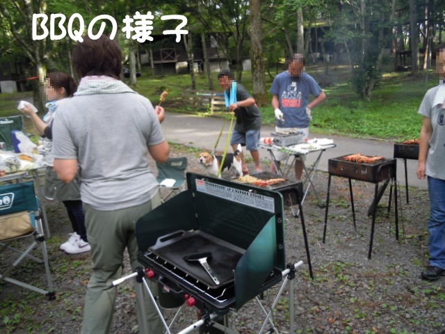 c0166622_9444577.jpg