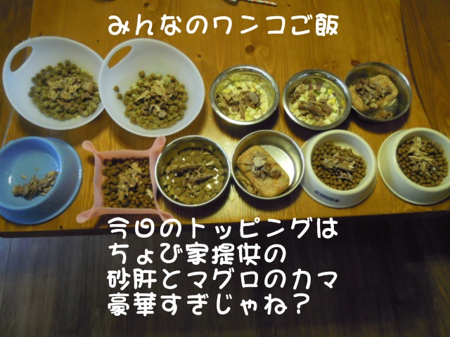 c0166622_9452994.jpg