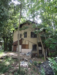 c0189724_20435552.jpg