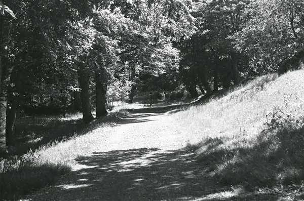 f0182924_19333719.jpg