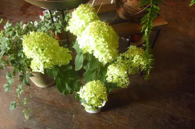 c0102228_18172653.jpg