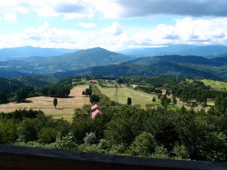 f0234728_17463276.jpg