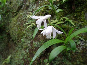 c0051529_22562748.jpg