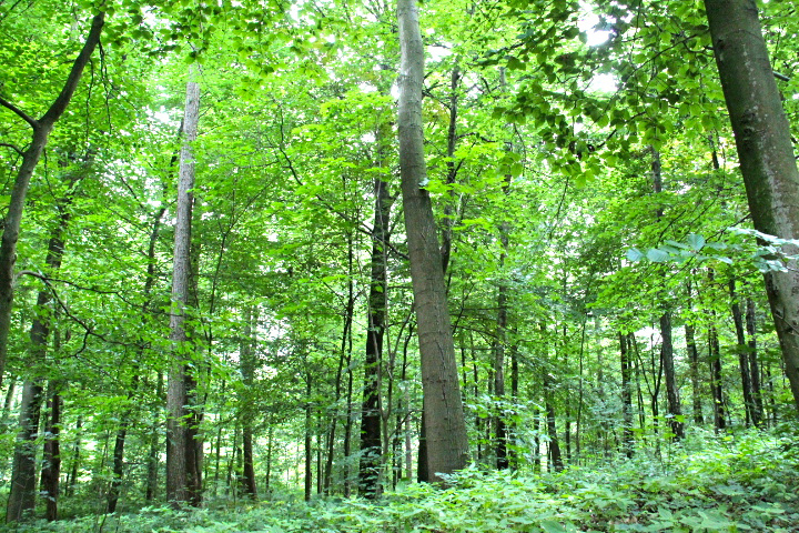 c0153740_28070.jpg