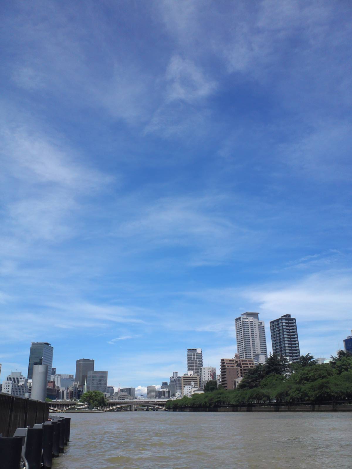 a0137142_16552623.jpg