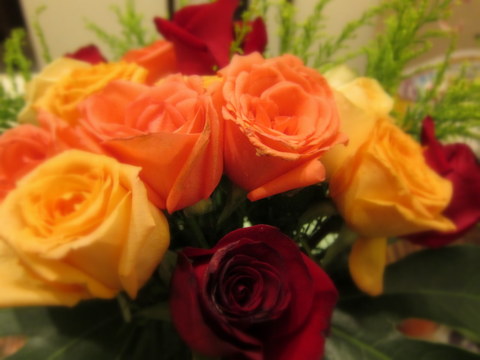 e0018143_050834.jpg