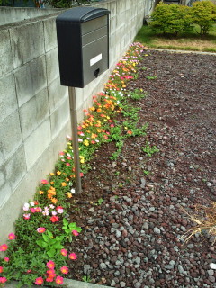 e0150849_1564048.jpg