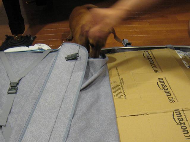 f0176354_10291371.jpg