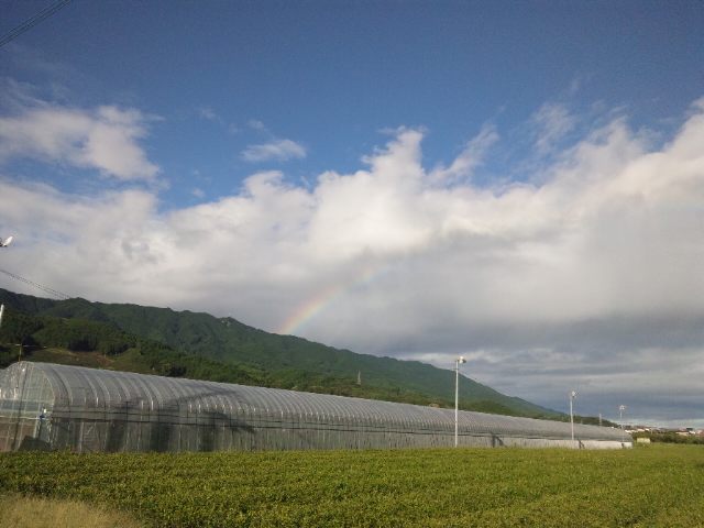 a0169558_2282330.jpg