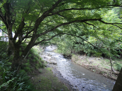 d0182075_5294023.jpg